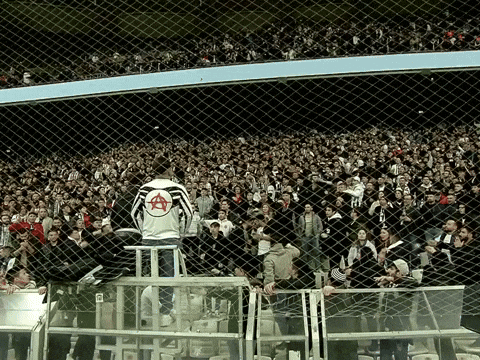 Tribun GIF by Besiktas JK