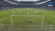Celebration Selebrasi GIF by MolaTV