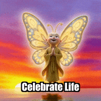 Celebration Sunset GIF by BuddhaFlyJourney