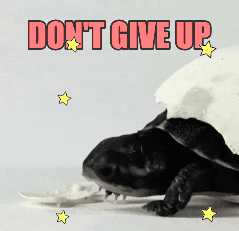 hang in there turtle GIF by chuber channel