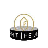 federlight digital agency frankfurt istanbul Sticker