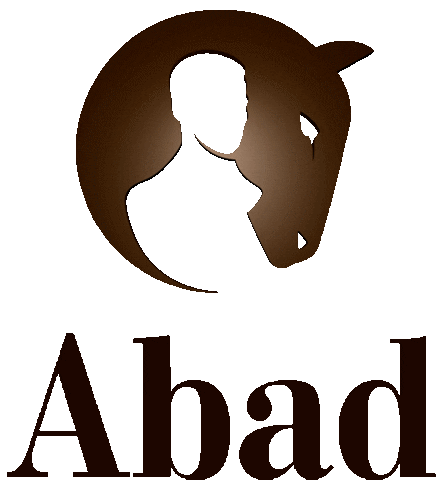 abadkg giphyupload abad абад abad kg Sticker
