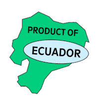 Punch Ecuador Sticker by Chiki Chiki Boom Boom