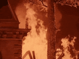 classic film GIF by Warner Archive