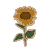 Summer Sun Sticker
