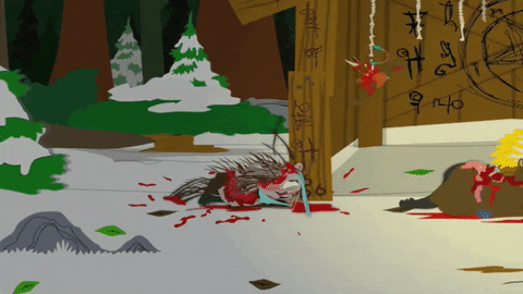 fox bleeding GIF by South Park 
