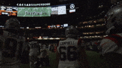 Football Nfl GIF by New England Patriots