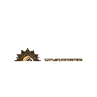 Stars Sun Sticker by Moonsister