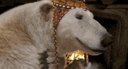 Robert Downey Jr GIF by Dolittle
