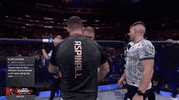 Mixed Martial Arts Sport GIF by UFC