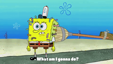 season 10 episode 3 GIF by SpongeBob SquarePants