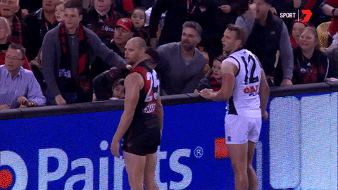 goal afl GIF by Essendon FC