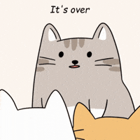 Surprised Oh No GIF by MESA My Emotional Support Animal