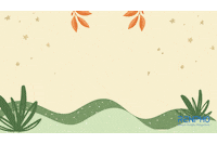 Three Kings Fitness GIF by RENPHO