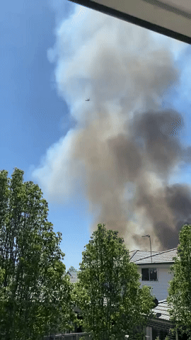 Smoke From Grass Fire Rises Near Homes in Sydney Suburb