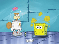 season 7 episode 26 GIF by SpongeBob SquarePants