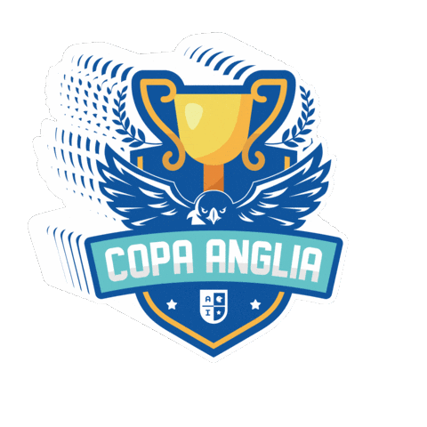 angliainstitute giphygifmaker hawks anglia angliacup Sticker