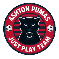 Lets Go Football Sticker by Ashton Pumas Womens