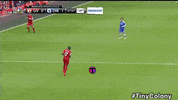 tinycolony gaming solana tinycolony GIF