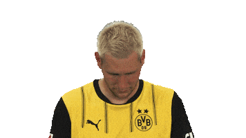 Look Up Borussia Dortmund Sticker by Bundesliga