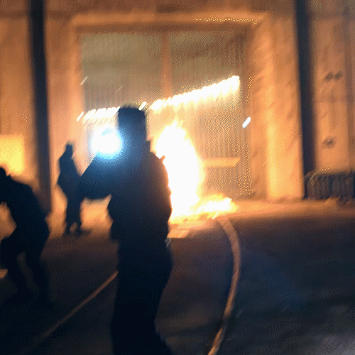 k-391 mystery GIF