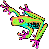 tree frog eyes Sticker by Insomniac Events