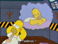 homer simpson GIF