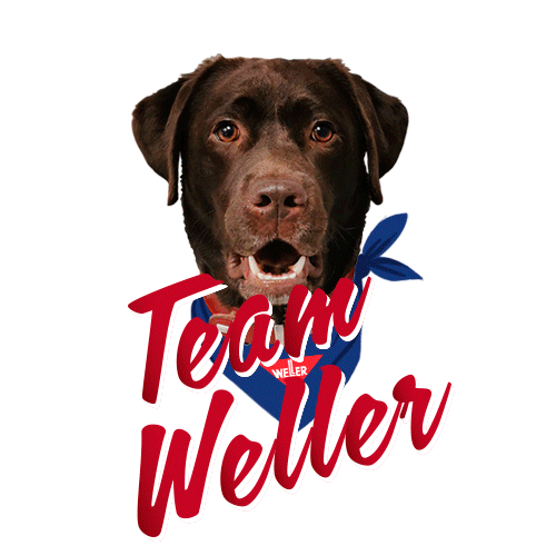 Dog Amy Sticker by Autoteile Weller