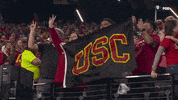 Flag Fight On GIF by USC Trojans