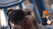 Throwing Up Music Video GIF by ari hicks