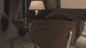 sarah jessica parker hbo GIF by Divorce