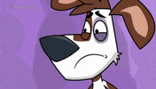 Dog Travelling GIF by VeeFriends