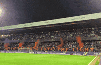 Austria Wien GIF