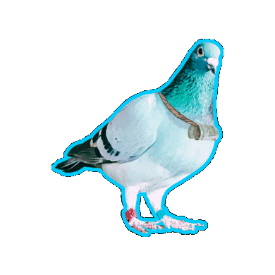 OmanStickers giphygifmaker cash Eid messenger Sticker