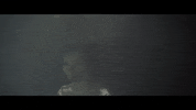 sub pop bow GIF by Sub Pop Records