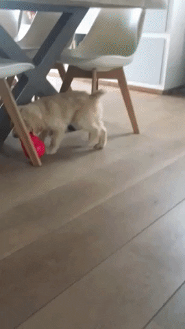 GIF by Dorst en Lesser