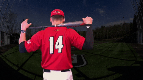 Baseball GIF by Seattle U Redhawks