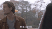 star on fox GIF by STAR