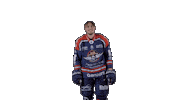 Ducs Dangers Hockey Sticker by Les Ducs d'Angers
