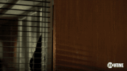 ray donovan drama GIF by Showtime