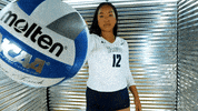 Toledo Volleyball GIF by Toledo Rockets