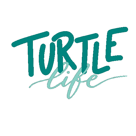 Turtle Sticker by Jugendtagung