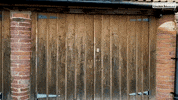 Driving By Richard Hammond GIF by DriveTribe