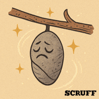 Gay Pride GIF by SCRUFF