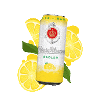 Sommer Sonne Sticker by König-Brauerei