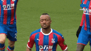 Arsenal Ligainggris GIF by MolaTV