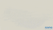 Fitness Health GIF by RENPHO