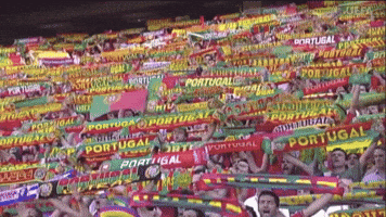 Portugal National Football Team GIF by UEFA