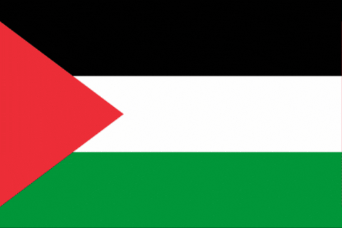 Freepalestine GIF by Avansa Limburg