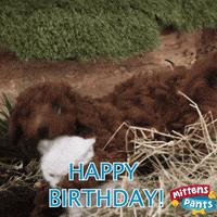 Windyisle happy birthday hug pants hay GIF